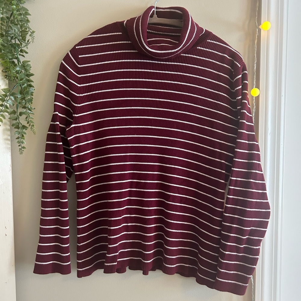 Burgundy Striped Turtleneck Sweater